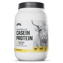 100 % Micellar Casein Protein, 호르몬 무료, 바닐라 콩, 2LB