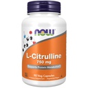 지금 식품 L-Citrulline, 90 조사