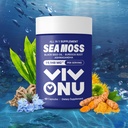 Sea Moss Black Seed Oil Ashwagandha Shilajit Ginger-Sea Moss 캡슐 withBurdock Turmeric 비타민 C 및 D3 Elderberry Ginger ACV Manuka Dandelion-Immune 시스템, 피부, 에너지 지원