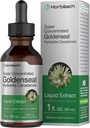 Horbäach Goldenseal Root Tincture | 1 Fl Oz | 액체 추출물 보충 | Hydrastis Canadensis Herb Drop | 알코올 무료 | 채식주의, 비 GMO 및 글루텐 무료