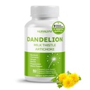 Dandelion 우유 이틀 Artichoke Burdock Turmeric - 지원 Liver 건강, 지원 Digestive Aid - 미국에서 제작 및 테스트