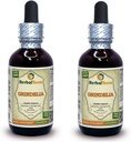 Grindelia (Grindelia Camporum) Tincture, 건조 허브 액체 추출 (브랜드 이름: HerbalTerra, Proudly Made in USA) 2x2 fl.oz (2x60 ml)