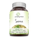 굉장한 인도 Senna (자연적인 Senna로 만드는) 봉사 당 500 Mg 120의 Veggie 캡슐 보충교재 | Non-GMO | 글루텐 자유로운