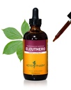 허브 Pharm Eleuthero (Siberian Ginseng) 에너지 및 체력, Cane 알코올, 4 Ounce에 대한 액체 추출물