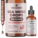 TrueSeaMoss Irish Sea Moss Drops - 5X 더 강한 바다 Moss Gel - 92 + Essentials Minerals - Spirulina Powder, Burdock Root & Black Cumin - 2 Fl Oz (60ml) - 딸기 풍미