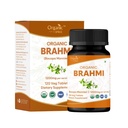 Brahmi 120 정제 - USDA 유기 Bacopa Monnieri 보충 – 지원 초점, 달력 & 기억 – 초본 Nootropic*