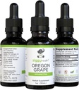 프리미엄 유기농 오레곤 포도 뿌리 Tincture - 알코올 무료 추출물, 1oz | 초본 지원 | Ziggy Health