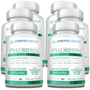 승인 과학 Pyloriprin - 건강한 Stomach를위한 고급 소화 지원 - 아연 L-Carnosine, Probiotic, Broccoli Sprout, Deglycyrrhized Licorice - 360 캡슐 - 6 개월 공급 - Vegan