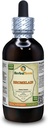 Bromelain (Ananas Comosus) Tincture, 건조 분말 액체 추출 (브랜드 이름: HerbalTerra, Proudly Made in USA) 4 fl.oz (120 ml)