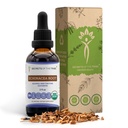 Echinacea Root USDA Organic Tincture | 알코올 프리 추출물, 고순도 허브 드롭, 면역 체계 건강 | 100 % 인증 유기농 Echinacea Root (Echinacea Purpurea) 2 oz