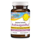 북아메리카 HERB & SPICE Ashwagandha 60 모자