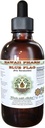 Blue Flag Alcohol-Free Liquid Extract, 유기농 블루 플래그 (Iris versicolor) 건조 뿌리 글리세리티 하와이 Pharm 자연 초본 보충 2 oz