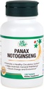 Panax Notoginseng 태블릿 - 건강한 순환 시스템