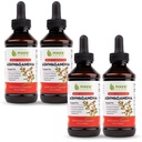 Maxx 허브 Ashwagandha 추출물 - 최대 힘 액체 열량은 캡슐 또는 분말보다 더 잘 흡수합니다 - 체력, 기억 및 면역 지원 - 4 병, 4 Oz 각각 (240 서빙)