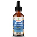 2000MG Liposomal 글루타티온 액체, 98% 흡수, 활동적인 모양 L 글루타티온 보충교재, Vegan 친절한, Immune 체계, 노후화 방위, Detox, 2 FL.OZ를 위한 강력한 산화 방지제 Complex