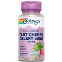 SOLARAY Tart Cherry & Celery Seed | 건강한 우랄산 레벨, 관절, 근육 회복 및 수면 지원 | 60 VegCaps