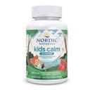 Nordic Naturals Kids Calm Gummies - Strawberry Watermelon - 60 Gummies - Magnesium L-Theanine Supplement - 어린이를위한 칼로리 - Relaxation Support - 최대 60 인