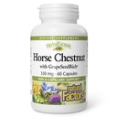 Natural Factors, Horse Chestnut, Antioxidant Support for Healthy Circulatory System and Veins with GrapeSeedRich, 60 캡슐 (60 인분)