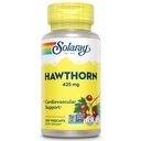 SOLARAY 호손 베리 425mg | 100 VegCaps
