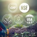 ML Naturals 버섯 Complex 120 식물성 캡슐. 6 필수 버섯 : 유기 Reishi, Lion's Mane, Cordyceps, 건강한 면역 지원, NSF 인증 및 cGMP 준수.