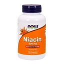 지금 음식 보충교재, Niacin (비타민 B-3) 500 mg의 정유 B 그룹 비타민*의 영양 건강, 100개의 캡슐