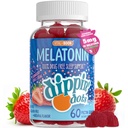 Melatonin Sleep Support Gummies (60 카운트) Strawberry Sunset Creme 풍미 Chews | 어린이 및 성인을위한 Gummy Sleep Supplement 당 2.5mg | 더 빠른 패스너 및 더 긴 수면을위한 보충