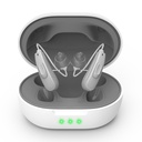 True Hearing Aids (Not 증폭기) 11 Channals 직업적인 재충전용 방수 보청기는 소음을 가진 Serve를 위한 보청기를 취소합니다 자석 위탁 상자 (회색)를 가진 보청기