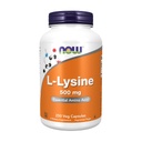 이제 식품 L-Lysine 500 밀리그램, 250 정제