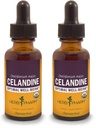 허브 Pharm 인증 유기 Celandine 액체 추출 - 1 Ounce (팩 2)