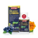 채식 DHA가있는 CATALO Bilberry Eye Formula - Mirtoselect Bilberry Extract, 조류, Lutein, Zeaxanthin, 포도 씨앗 추출물 및 아연 - 60 채식 캡슐
