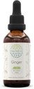 HerbEra Ginger B60 알콜 자유로운 초본 추출물 Tincture의 최고 집중된 Ginger (Zingiber officinale) 2개 fl oz