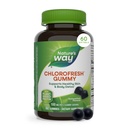 자연의 방법 Chlorofresh Chlorophyll Gummies, 건강한 피부와 몸 Detox*, 내부 Deodorant*, 과도한 과일 맛, 60 구미를 지원하십시오