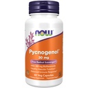 지금 식품 보충제, Pycnogenol 30 mg (프랑스 Maritime Pine의 Proanthocyanidins의 독특한 조합) 300 mg Bioflavonoids, 60 Veg 캡슐