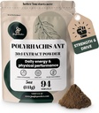정글 분말 블랙 Ant 추출 분말 30:1 농도, 94 서빙 - 5 순수한 Polyrhachis의 Ounces 블랙 Ant 보충, 필러 무료 Changbai 산 Ant 전통적인 Mens 건강 지원 드라이브