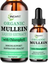 Lungs를 위한 Mullein 하락 | Chlorophyll, 비타민 C, 면역 지원을 위한 Cinnamon를 가진 강력한 Mullein 잎 추출물, Detox & 호흡 지원, 기관 지원 | Non-GMO, Kosher, 글루텐 자유로운