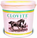 PFIZER EQUINE Clovite 비타민 보충