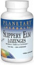 PLANETARY HERBALS Slippery Elm Lozenges, Unflavored, 200 조사