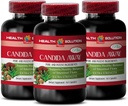 Immunity Support 보충교재 - Candida Away Plus - Candida Digestive - Candida Cleanse Extra Strength - Digestive Pill - Candida Cleanse for Women and Men - Candida Overgrowth - 3 병 180 캡슐