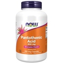 지금 음식 보충교재, Pantothenic 산 (비타민 B-5) 500 mg, B 혼합 비타민, 250의 캡슐