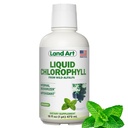 랜드 아트 - 액체 클로로필라 민트 - 야생 비 GMO Alfalfa - 자연 Clorofila Liquida - 산화 방지제 - Detox 보충 - Boost Energy - Alkalizing & Body Odor Neutralizer - 16 floz