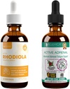 Rejuvica Health Active Rhodiola + Active Adrenal - 지원 에너지 + 스트레스 - 더 나은 흡수를위한 액체 배달 - Rhodiola, Ashwagandha, Holy Basil & More!