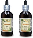 Rhodiola (Rhodiola Rosea) Tincture, 유기 건조된 뿌리 액체 추출물 (브랜드 이름: HerbalTerra, 미국에서 Proudly 만든) 2x4 fl.oz (2x120 ml)