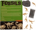 Fun Express는 자신의 Fossil 공예 키트를 만드십시오 - 12을 만드십시오