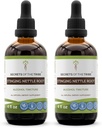 Tribe Sting Nettle Root Tincture 알코올 추출, 높은-Potency 초본 드롭, Tincture Sting Nettle Urtica Dioica Respiratory 및 Urinary System Health 2x4 oz의 비밀
