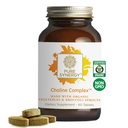 PURE SYNERGY Choline Complex|Vegan Choline Supplement는 유기농 식품으로 만들어졌습니다 | Non-GMO Bioavailable Complex | 임신, 뇌 및 간 건강 (60 정제)