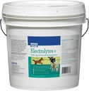 633011 Electrolytes 플러스 다 명세 보충교재, 10 lb