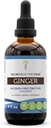 Tribe Ginger Tincture 알코올 무료 추출물의 비밀, Ginger (Zingiber officinale) 건조 뿌리 4 OZ