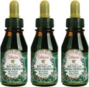 Apiario Silvestre Bee Pollen & Brazil Green Bee Propolis Liquid의 3 병 - 글리콜 추출물 - 비 알코올, 왁스 무료, 설탕 무료