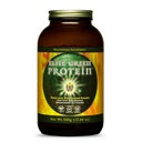 HEALTHFORCE SUPERFOODS 엘리트 녹색 단백질 - 500 g 분말
