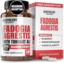Fadogia Agrestis 1500mg [고순도] + BioPerine® for High Absorption Supplement with Tongkat Ali - 증가 체력, Lean 근육 성장 및 회복, Boosts Drive 3rd Party Tested 120 캡슐